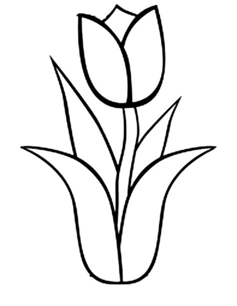 drawings tulip nature printable coloring pages