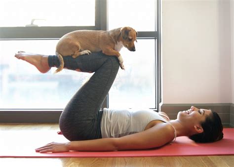 discover  benefits  doga yoga sessions   dog