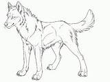 Coloring Wolf Pages Lineart Canis Ferox Deviantart Face Related sketch template
