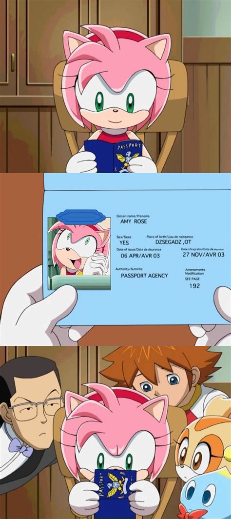 amy s passport sonic the hedgehog know your meme