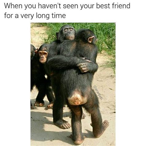 29 bff memes to share with your bestie on national best friend day