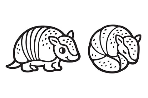 cute cartoon armadillo stock illustration download image