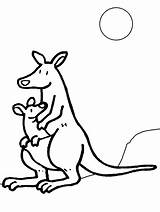 Kangaroo Clipart Color Coloring Library Drawings Baby sketch template