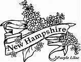 Lilac Hampshire sketch template