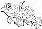 Fish Mandarin Angler Coloring Pages Tuna Cartoon Getcolorings Stock Getdrawings Depositphotos sketch template