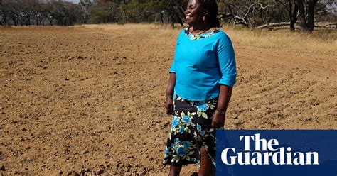 zimbabwe s white farmers find their services in demand again zimbabwe