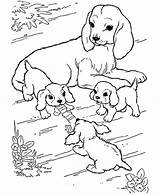 Coloring Pages Animals Babies Their Animal Mother Dog Farm Puppies Playing Baby Puppy Her Play Kids Printable Watching Print Getcolorings sketch template