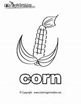 Corn Coloring Pages English Printable Noun Cob Stalk Drawing Printables Alphabet Thank Please Cornstalk Getdrawings Library Clipart Coloringprintables Popular Comments sketch template