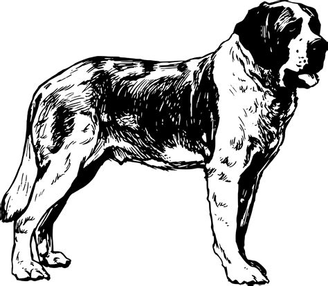searched  dogs  coloring pages  kids