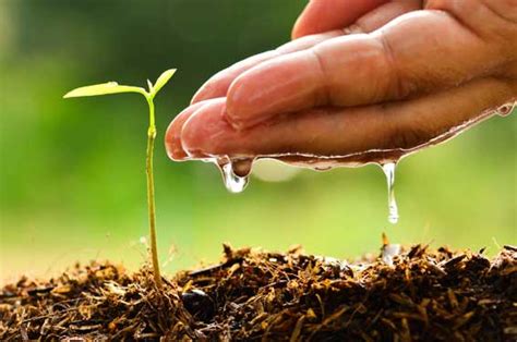 soil  water innovation  agriculture