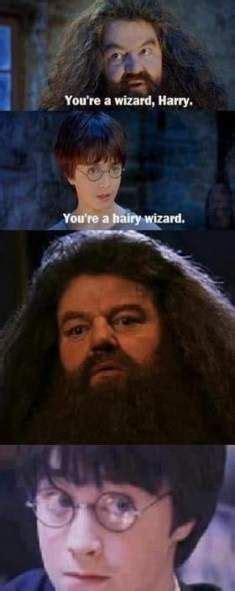 Funny Harry Potter Memes Nerd 24 New Ideas Funny Harry