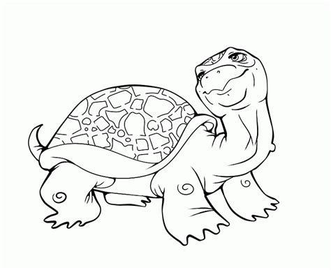 sea turtle coloring page coloring home