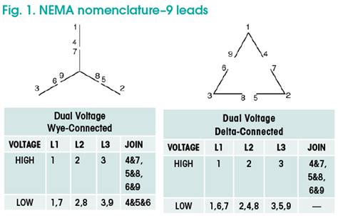 wire  phase motor wiring diagram wiring draw  schematic