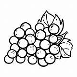 Coloring Pages Grapes Grape Bunch Printable sketch template