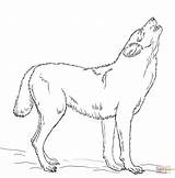 Wilk Howling Kolorowanki Rysunek Heulender Ausmalbilder Drawing Loup Kolorowanka Wydruku Arctique sketch template
