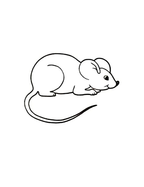 printable mouse coloring pages  kids coloring pages kids