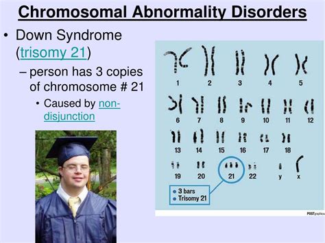 Ppt Genetics And Heredity Powerpoint Presentation Free