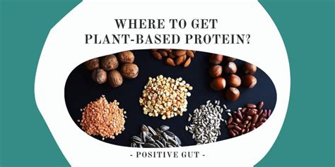 waar haal je plantaardig eiwit vandaan positive gut