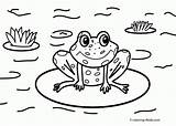 Coloring Pages Frog Nature Scenes Frogs Sheets Pond Cartoon Kids Printable Coqui Color Drawing House Toad Cycle Print Life Around sketch template
