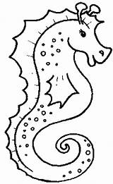Coloring Sea Animals Pages Creatures Animal Creature Realistic Seahorse Water Sheets Drawing Life Printable Ocean Under Print Colouring Color Clipart sketch template