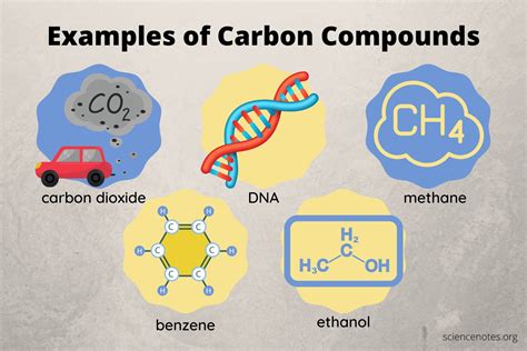 carbon compounds  examples