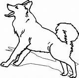 Coloring Husky Wecoloringpage Pages sketch template