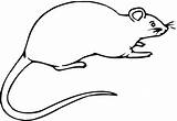 Rat Coloring Pages Rats Clipart Cartoon Outline Color Mole Printable Draw Colouring Click Preschoolers Cute Supercoloring Skateboards Dogs Gif Clip sketch template