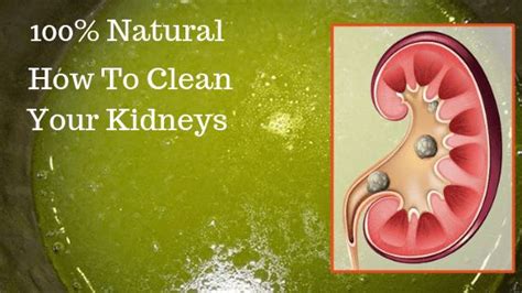 clean  kidneys   powerful home remedy   natural