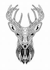 Reindeer Coloring Christmas Zentangle Color Pattern Pages Adult Beautiful Kids Print sketch template
