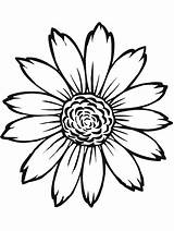 Coloring Pages Flowers Primarygames Color Flower Sunflower Choose Board Color10 Science sketch template