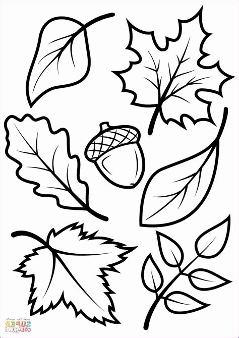 coloring sheets  fall fresh coloring book excelent leaf sheets pages