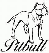 Pitbull Coloring Pages Drawing Puppy Dog Line Bulls Printable Drawings Draw Step Cartoon Chicago Pit Bull Easy Pitbulls Sketch Head sketch template