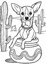 Chihuahua Coloring Pages Kids Dog Printable Drawings Outline Chiweenie Puppy Color Chihuahuas Drawing Dogs Book Gif Lovers Mexican Printables Mexico sketch template