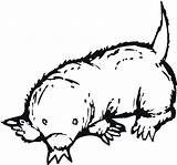 Mole Coloring Pages Rat Getcolorings Getdrawings sketch template