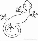 Lizard Gecko Reptile sketch template