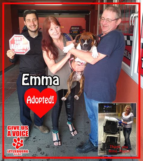 Adorable And Adopted Emma Finds A Home Give Us A Voice