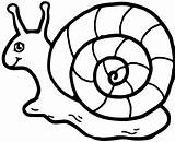 Snail Zentangle sketch template