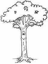 Tree Coloring Trees Pages Kids Color Cute Gif Face Long sketch template