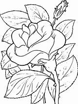 Para Colorear Coloring Flor Flower Printable Pages Colouring Visit Sheets Colorful sketch template