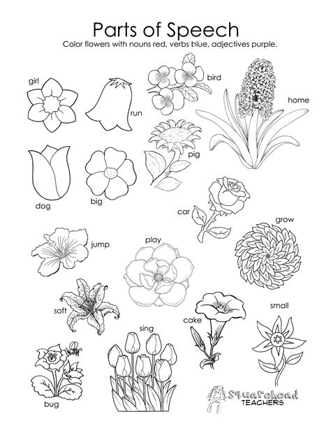 printable flower parts worksheets