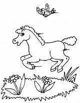 Horse Coloring Bird Pages Printactivities Flying Printables Appear Running Printed Navigation Print Only Kids When Will Do sketch template