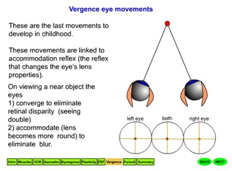 eye movement tutorial neuromeded