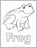 Frog Coloring sketch template