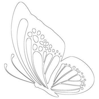 butterfly coloring pages beautiful butterflies  color butterfly