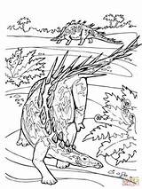 Kentrosaurus Dinosaurier Jura Vulkan sketch template