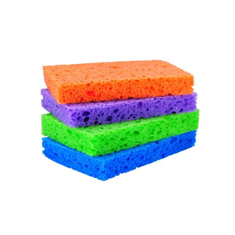 clean  sponge popsugar smart living