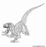 Jurassic Dinosaur Coloring sketch template