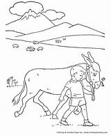 Pasture Donkey Esel Ausmalbild Designlooter sketch template
