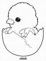 Coloring Chick Chicken Pages Printable Chickens Baby Cute Color Print Chicks Easter Colouring Kids Book Animal Animals Hatching Adorable Clipart sketch template