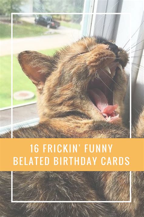 funny belated birthday cards belated birthday belated birthday